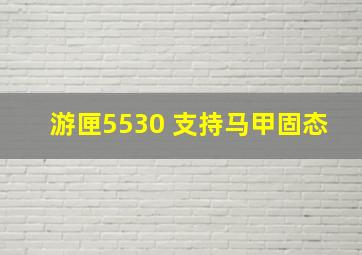 游匣5530 支持马甲固态